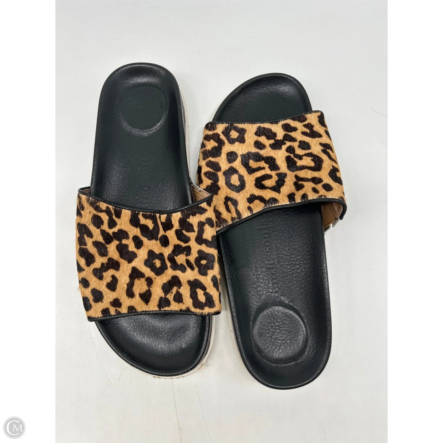 Sandals Flats By Gentle Souls In Animal Print, Size: 8