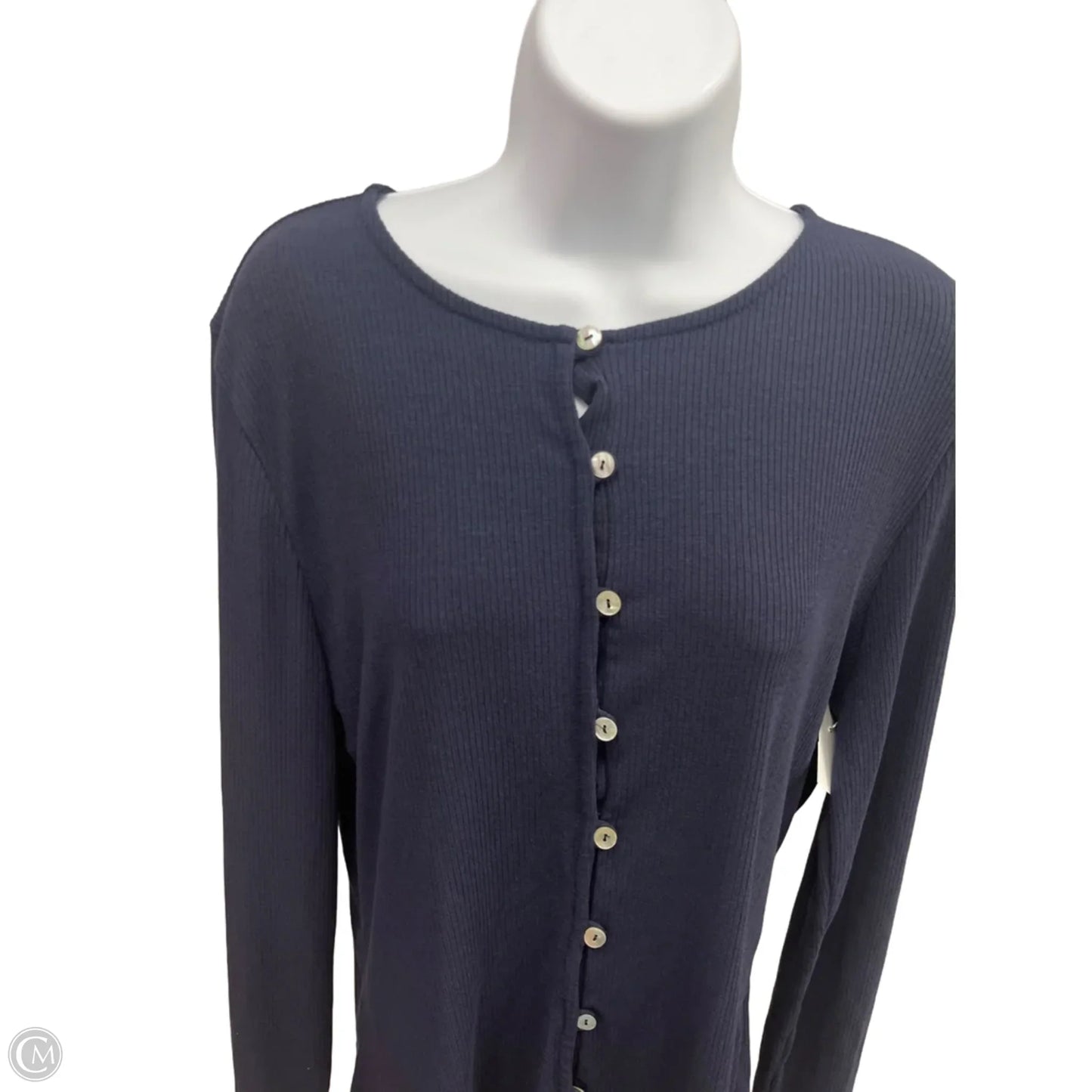 Top Long Sleeve By Green Envelope In Blue, Size: Xl