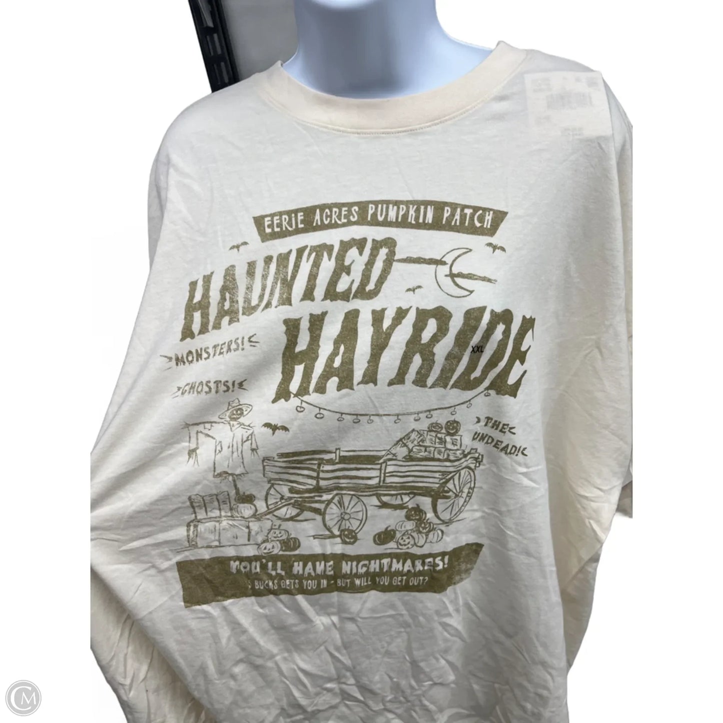 Top Short Sleeve By American Eagle In Cream, Size: 1x