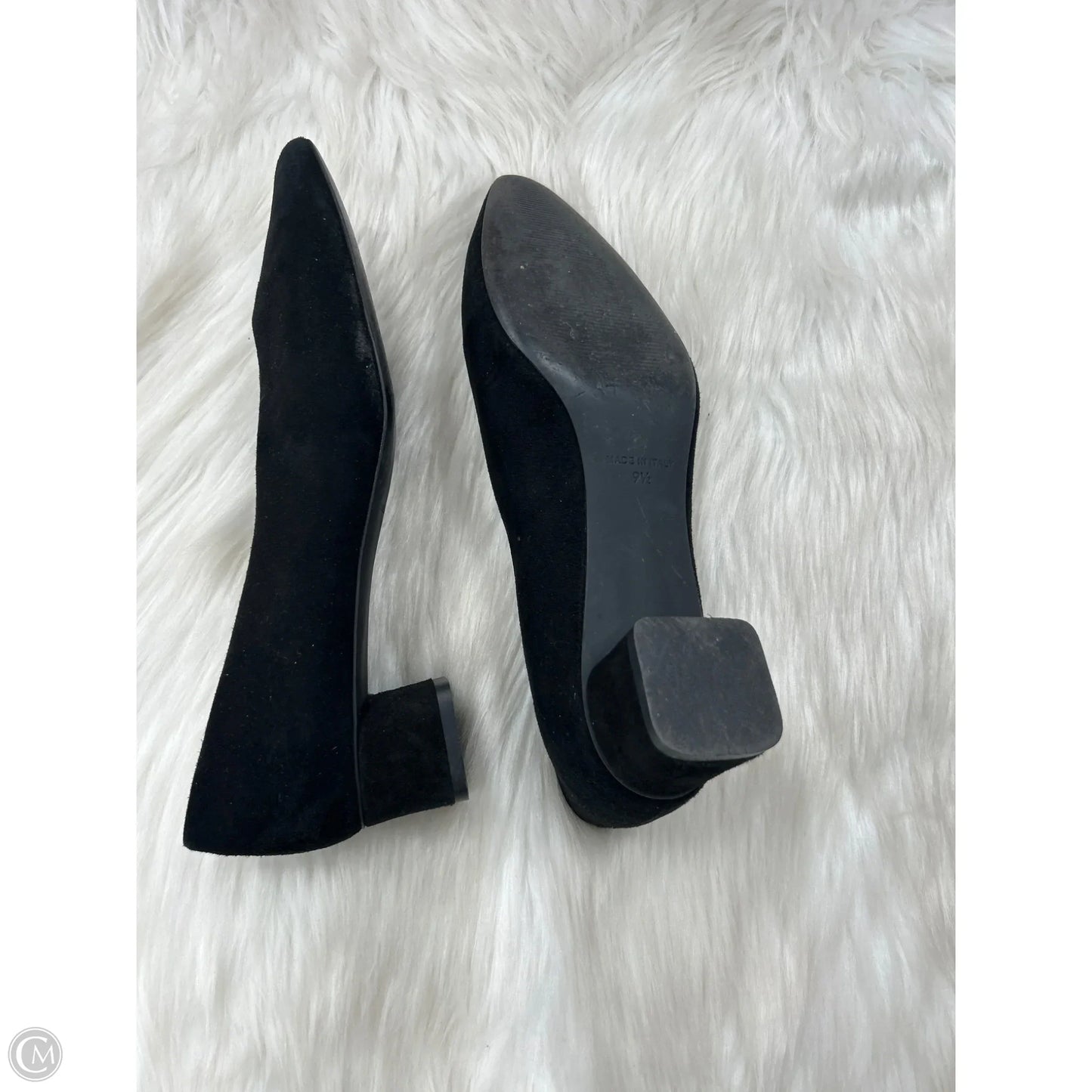 Shoes Heels Block By Everlane In Black, Size: 9.5