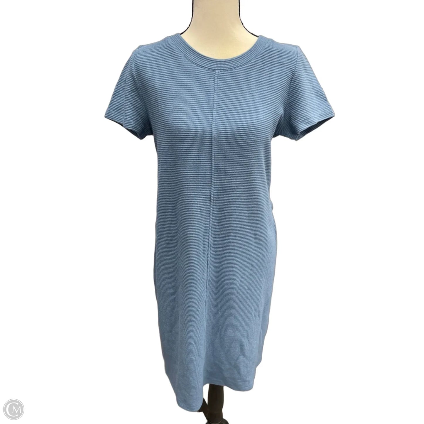 Dress Casual Short By Clothes Mentor In Blue, Size: M