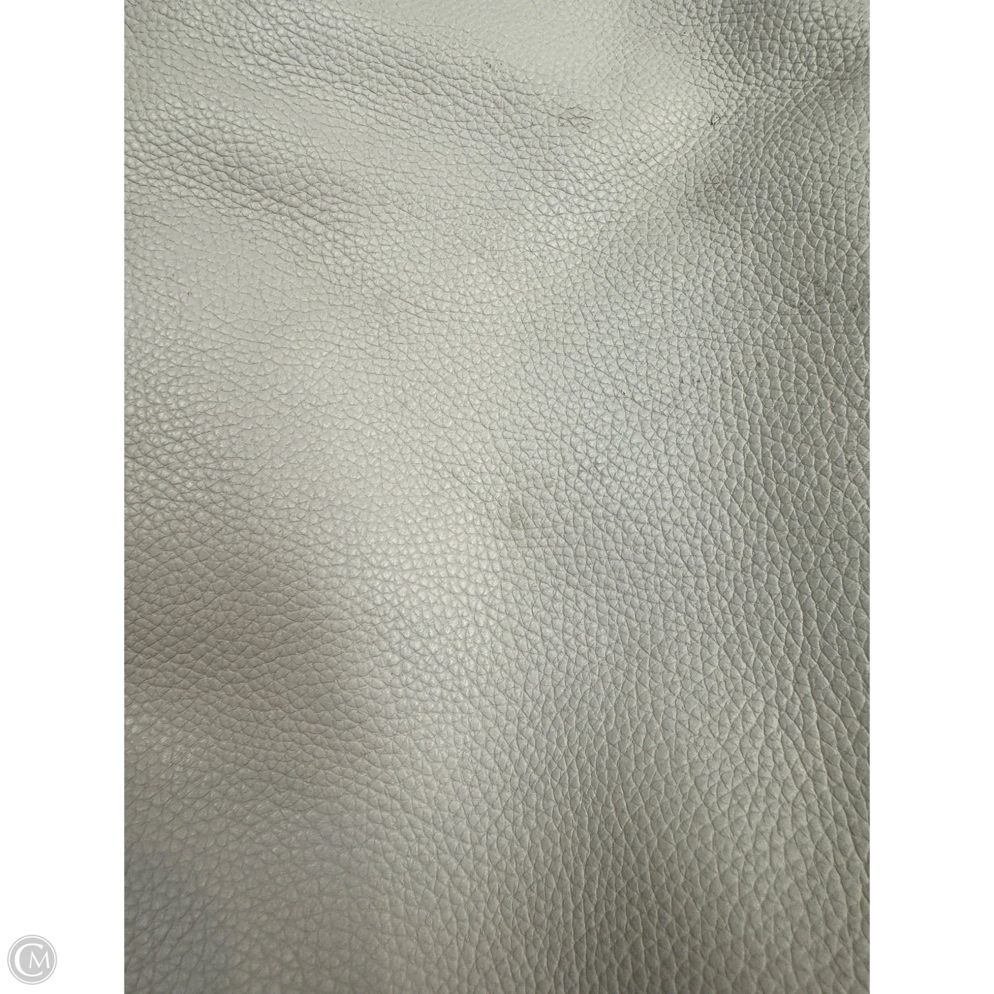 Handbag Designer By Coach, Size: Large