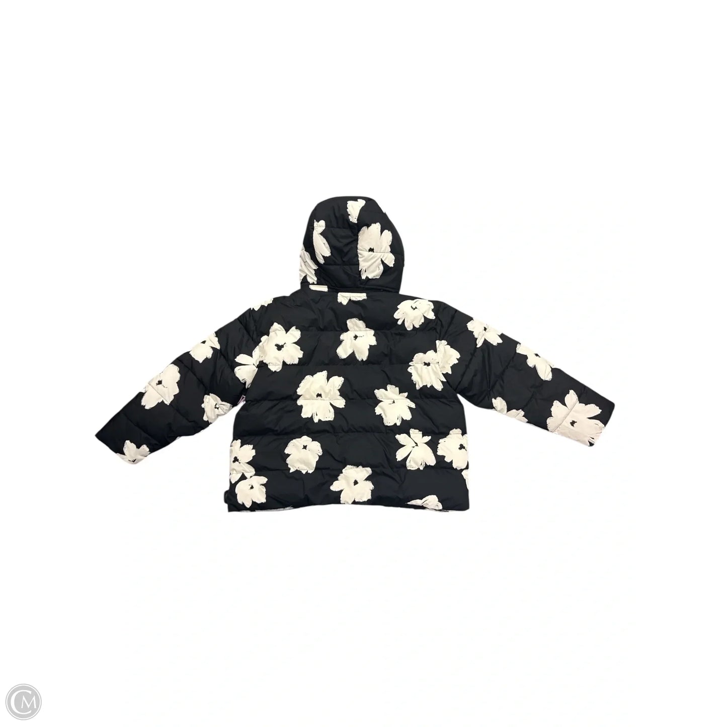 Coat Puffer & Quilted By Ava & Viv In Black, Size: 1x