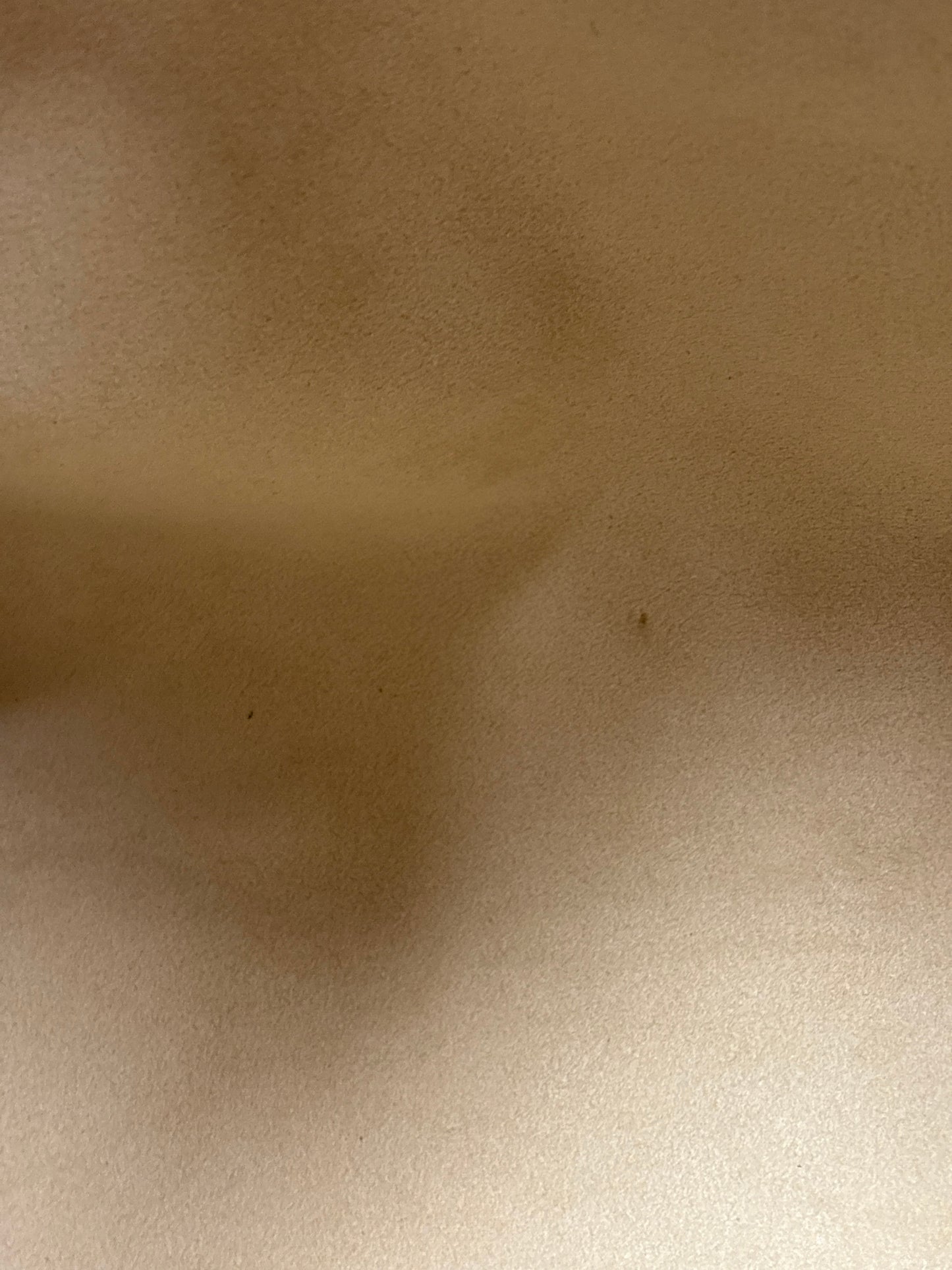 Handbag Luxury Designer By Louis Vuitton, Size: Large