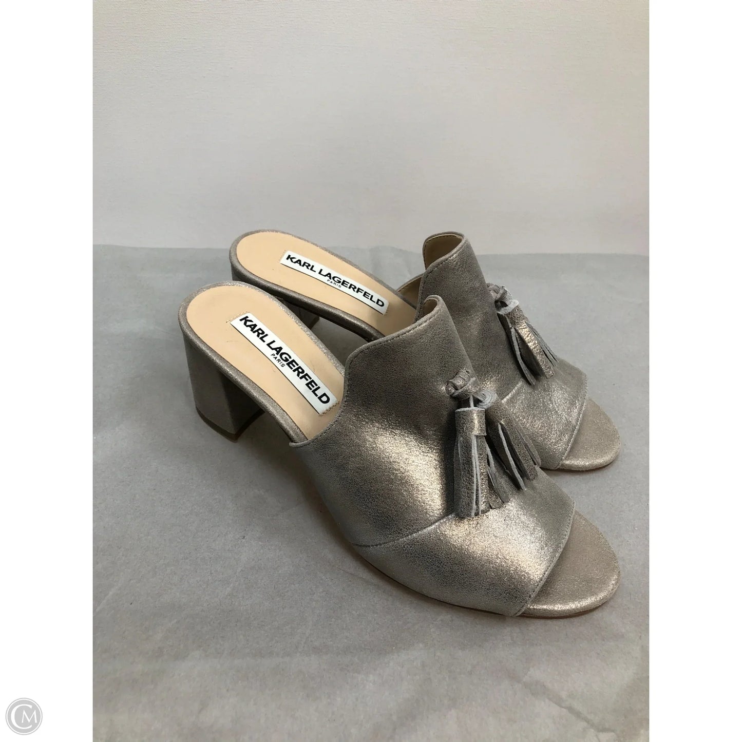 Shoes Designer By Karl Lagerfeld In Silver, Size: 6.5