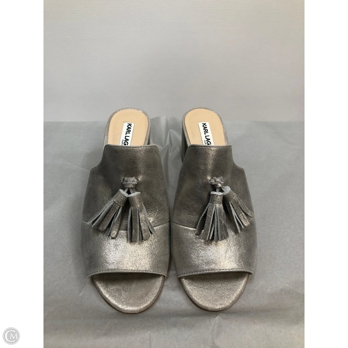 Shoes Designer By Karl Lagerfeld In Silver, Size: 6.5