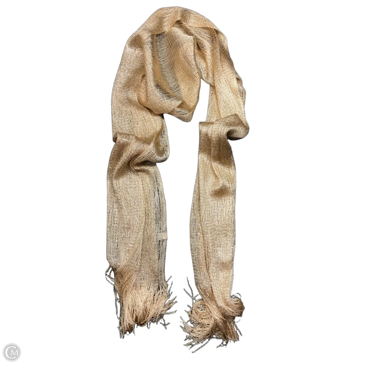 Scarf Long By Clothes Mentor
