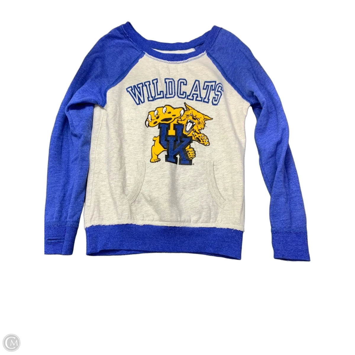 Sweatshirt Crewneck By Pressbox In Blue & Grey, Size: M