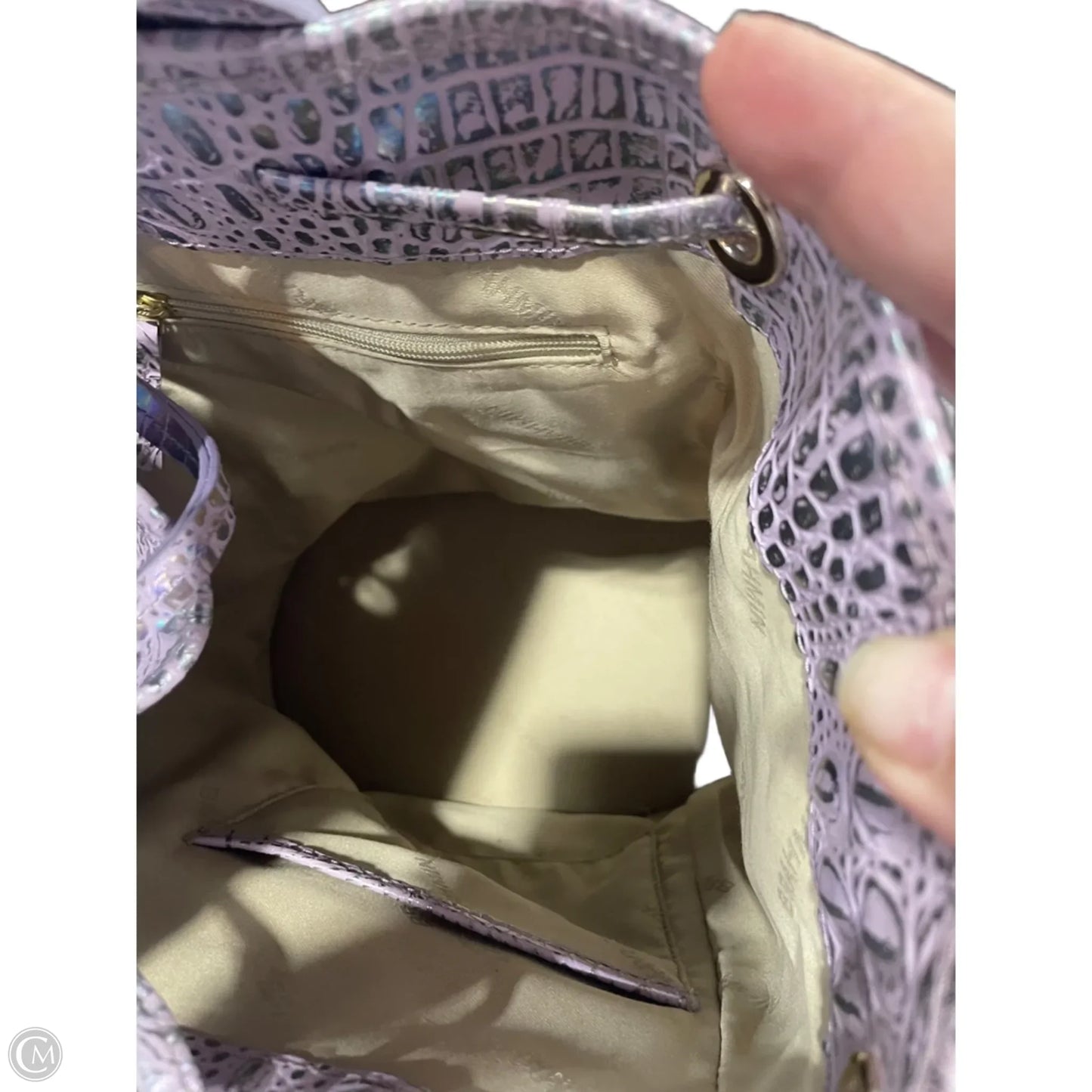 Crossbody Designer By Brahmin, Size: Large