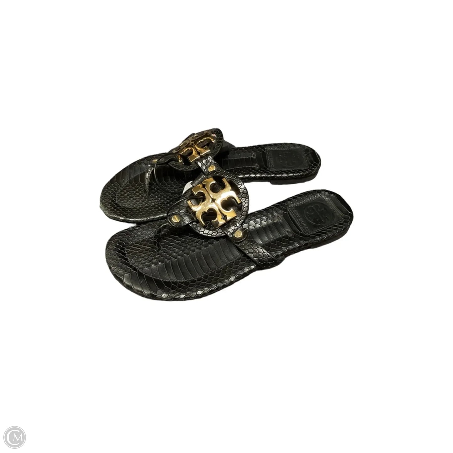 Shoes Designer By Tory Burch In Black, Size: 6
