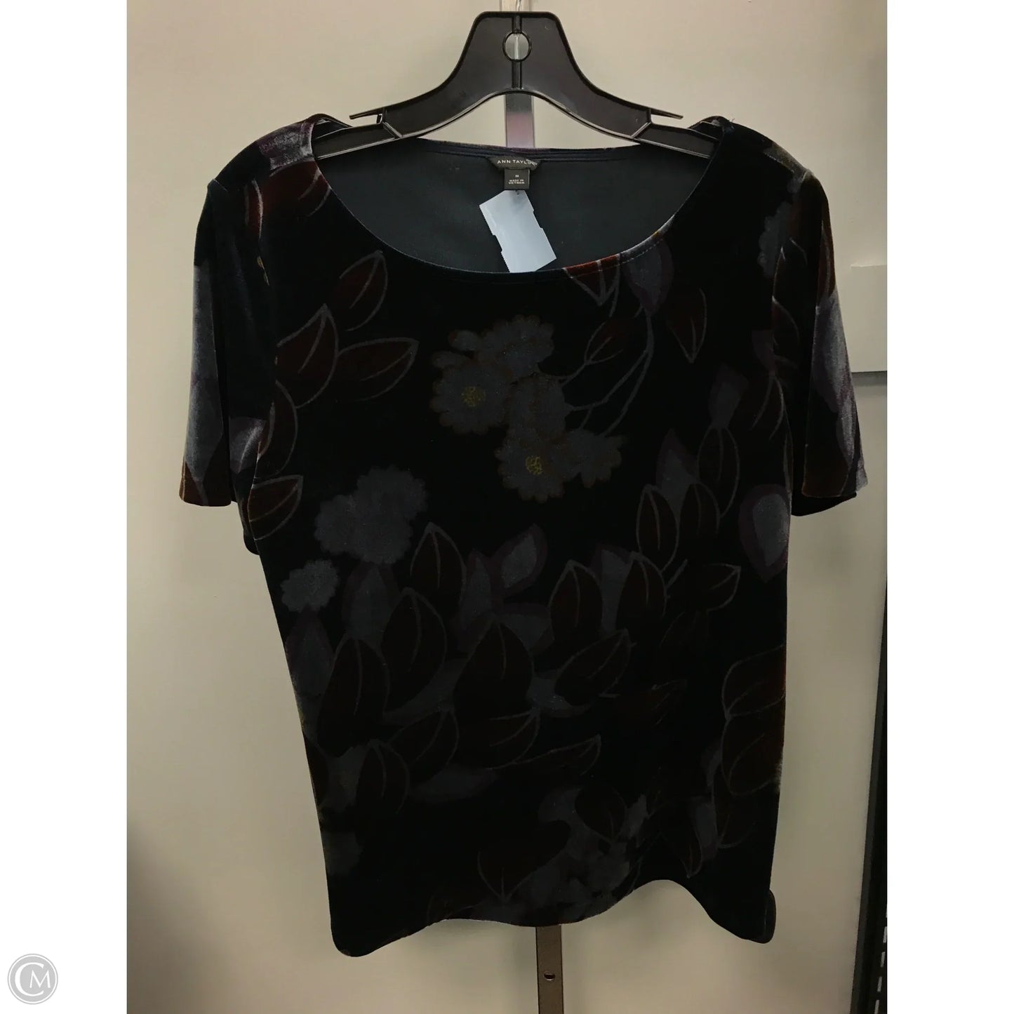 Top Short Sleeve By Ann Taylor In Floral Print, Size: M
