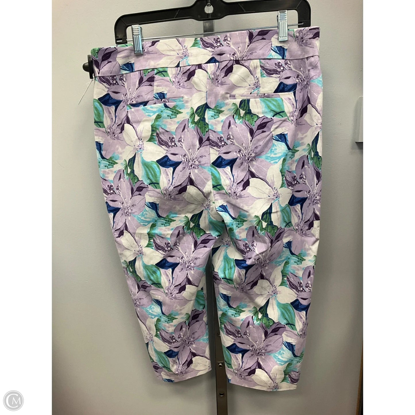 Capris By Chicos In Floral Print, Size: 10