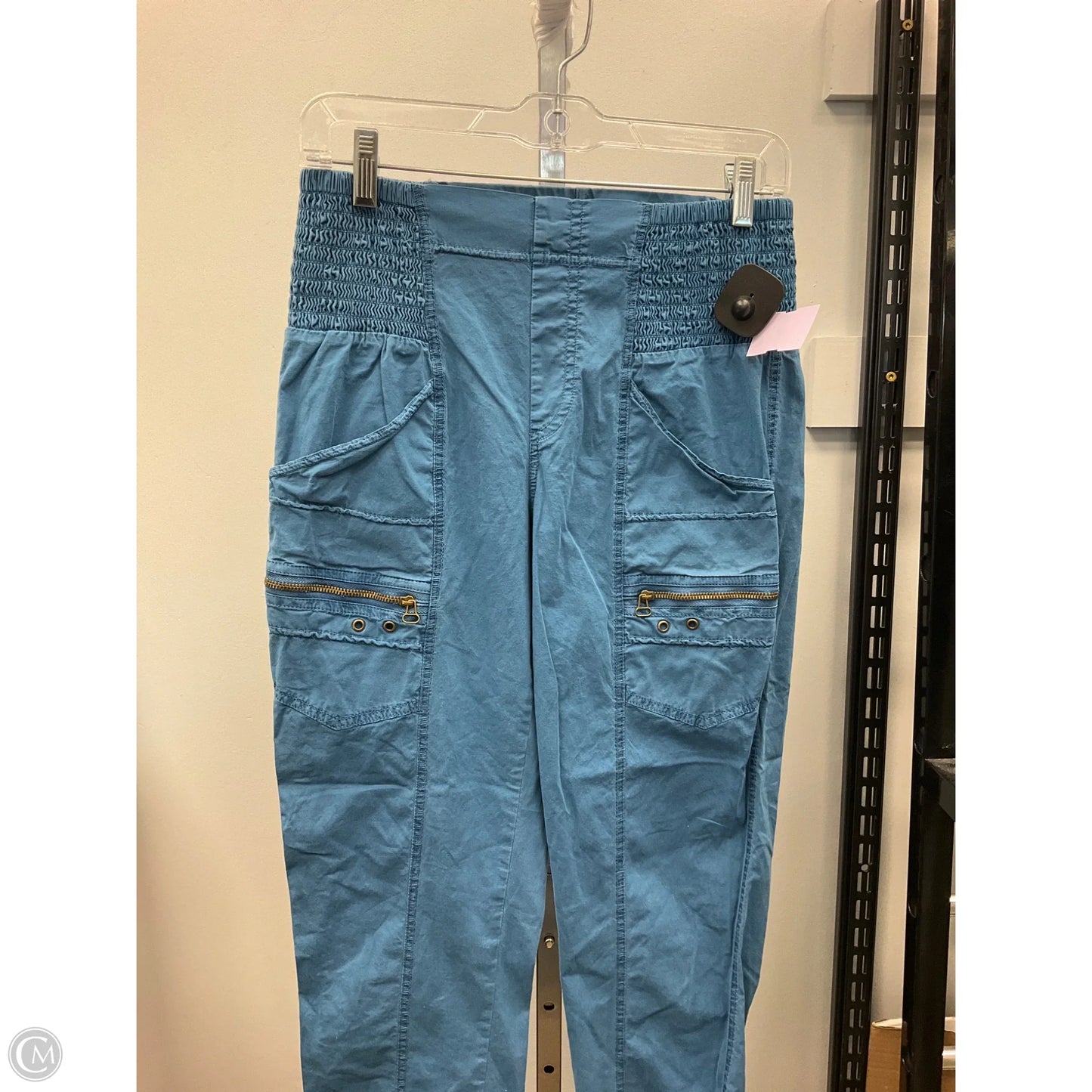 Pants Cargo & Utility By Clothes Mentor In Blue, Size: Xs