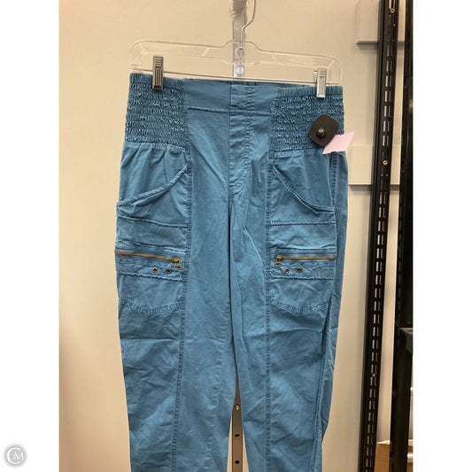 Pants Cargo & Utility By Clothes Mentor In Blue, Size: Xs