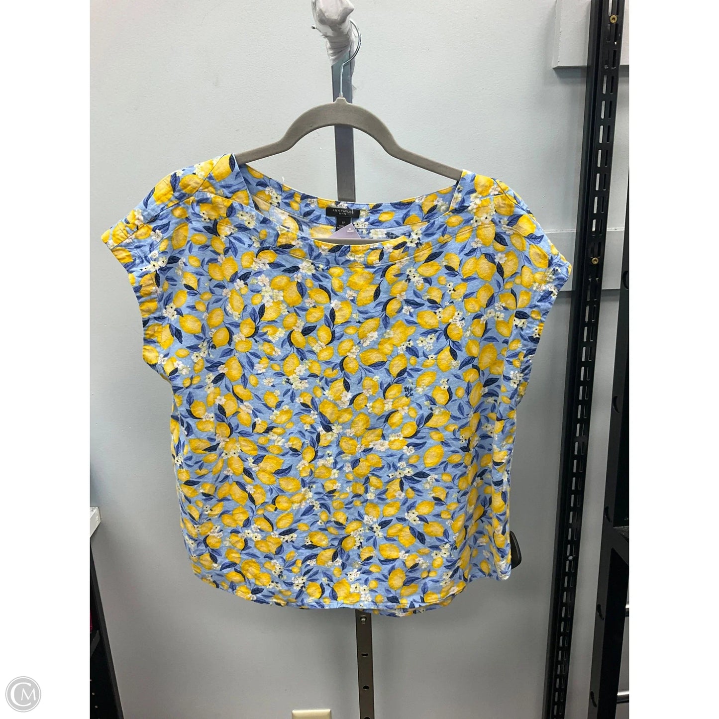 Top Sleeveless By Ann Taylor In Blue & Yellow, Size: Lp