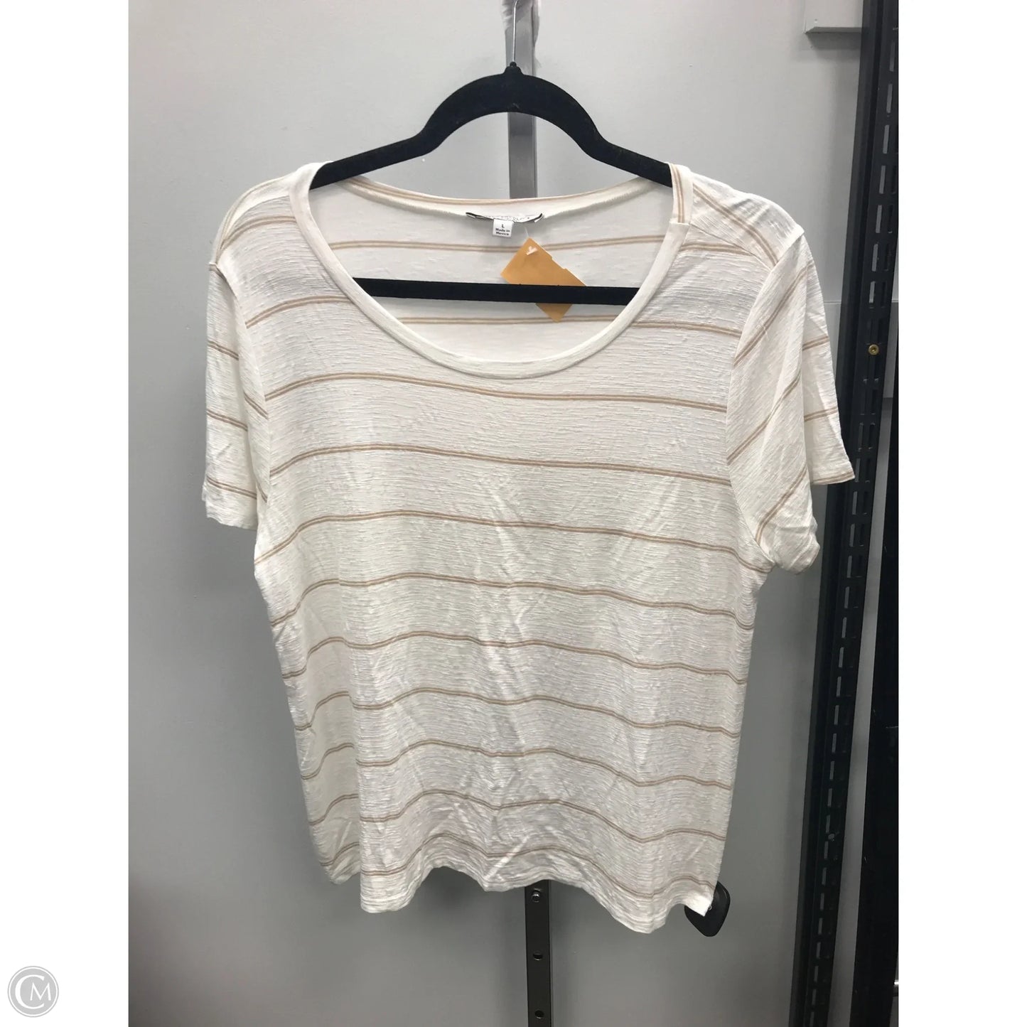 Top Short Sleeve By Green Envelope In Striped Pattern, Size: L