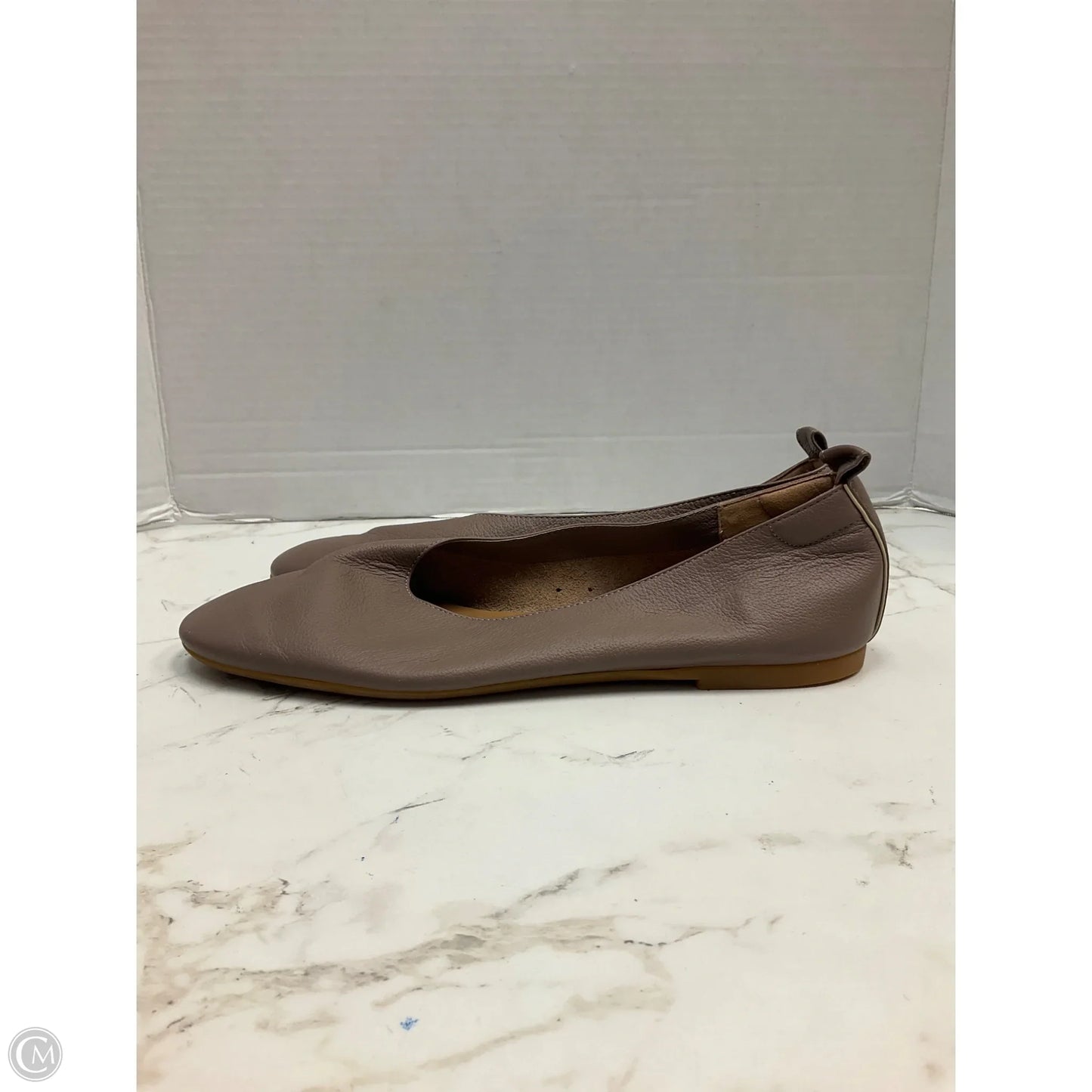Shoes Flats By Everlane In Brown, Size: 9