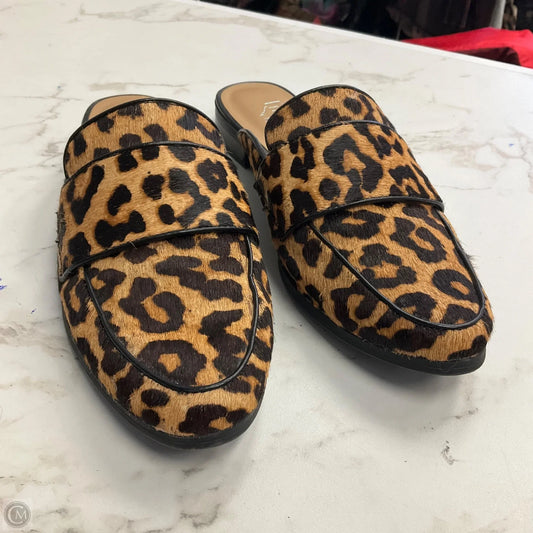 Shoes Flats By Franco Sarto In Animal Print, Size: 8.5