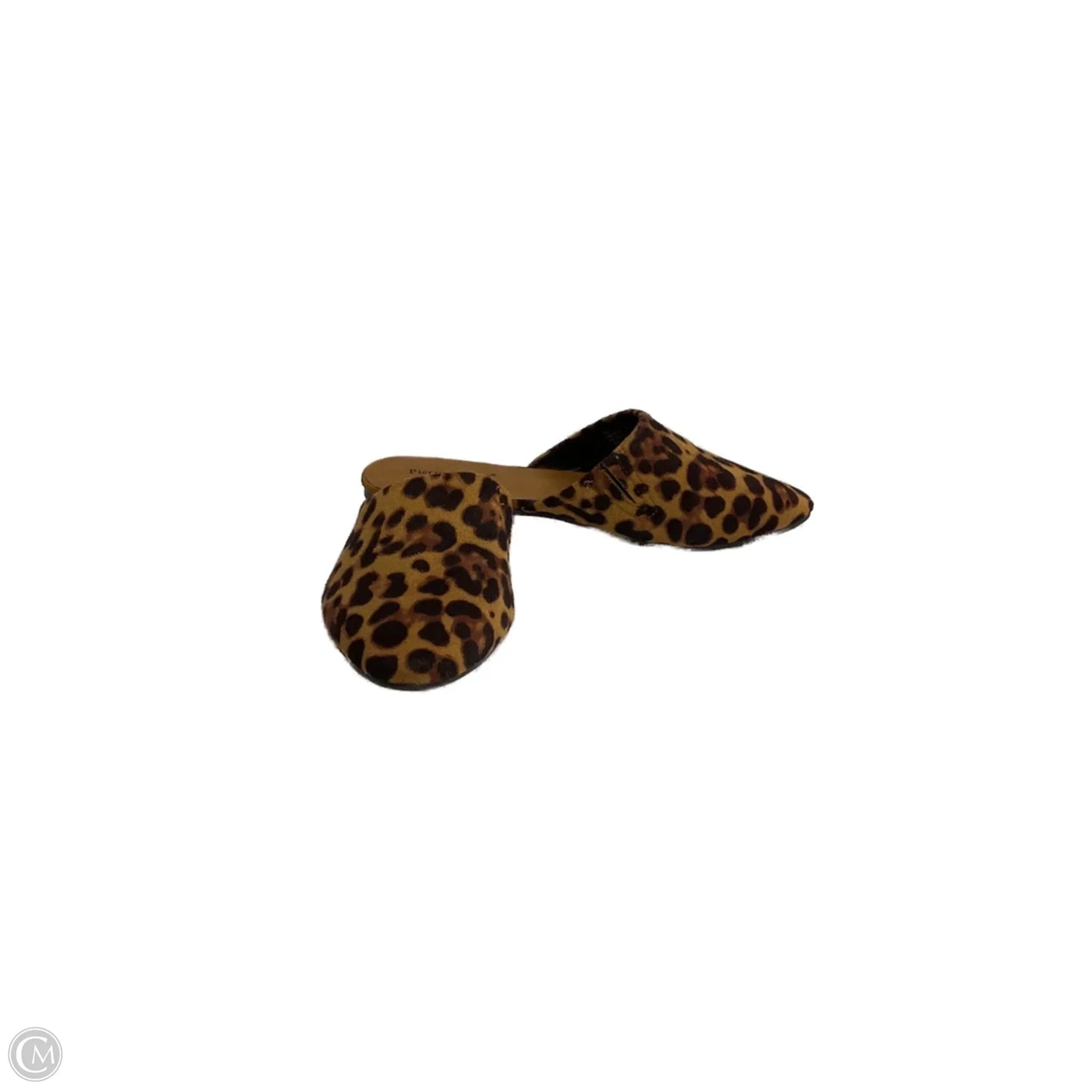 Shoes Flats By Pierre Dumas In Leopard Print, Size: 7