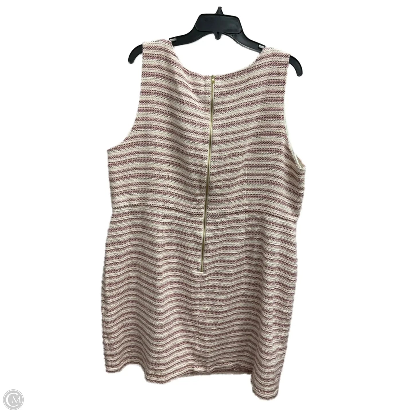 Dress Casual Short By Loft In Striped Pattern, Size: 3x