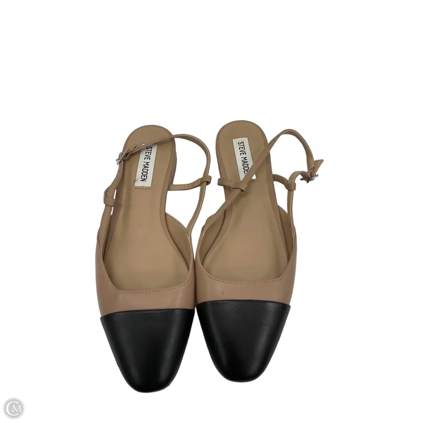 Shoes Flats By Steve Madden In Black & Tan, Size: 8.5