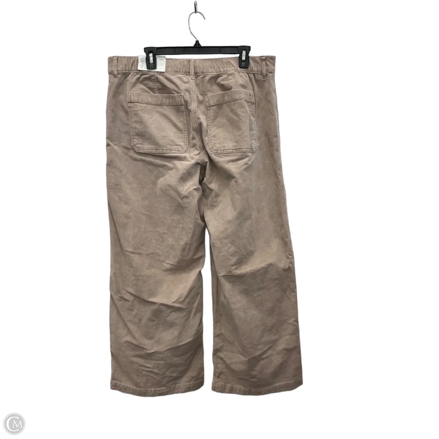 Pants Corduroy By American Eagle In Beige, Size: 14