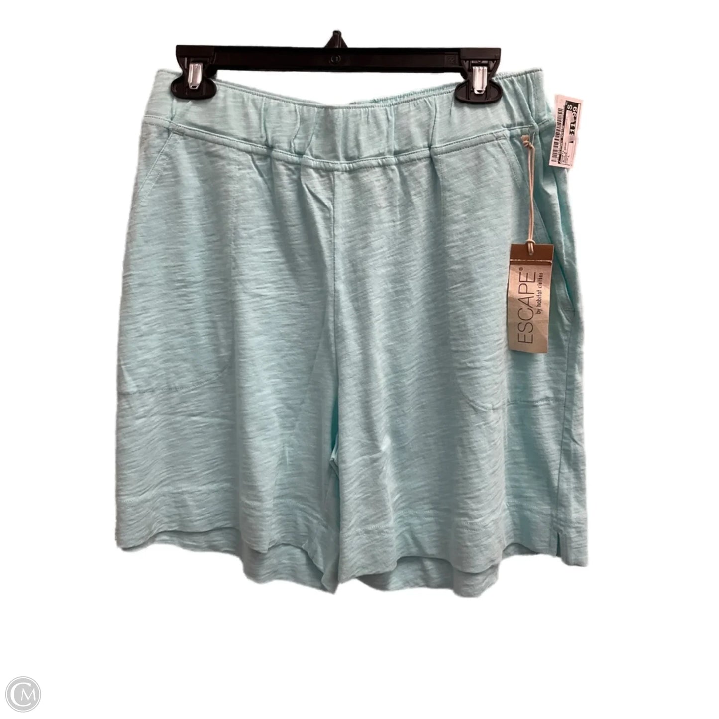 Shorts By Clothes Mentor In Blue & Brown, Size: L