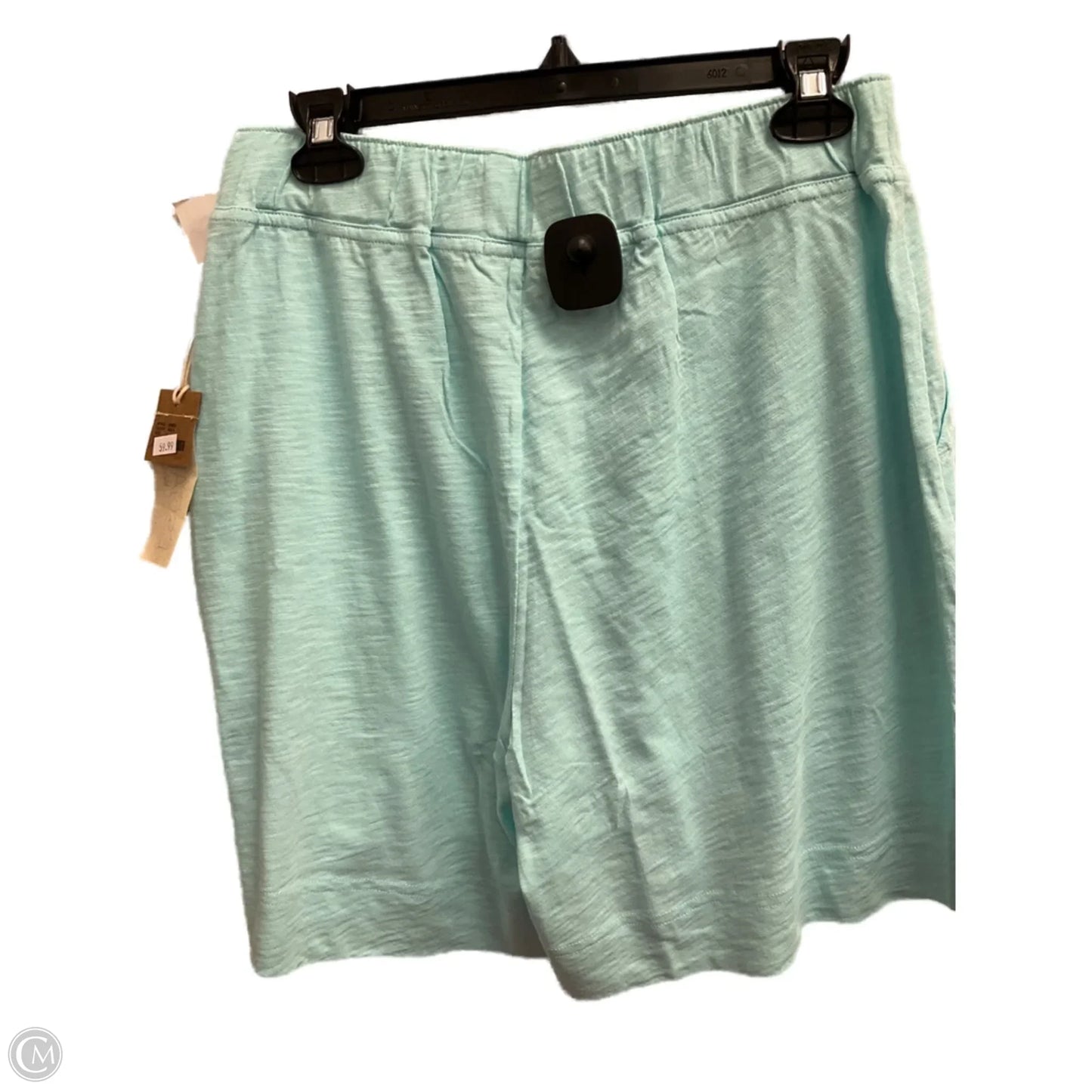 Shorts By Clothes Mentor In Blue & Brown, Size: L