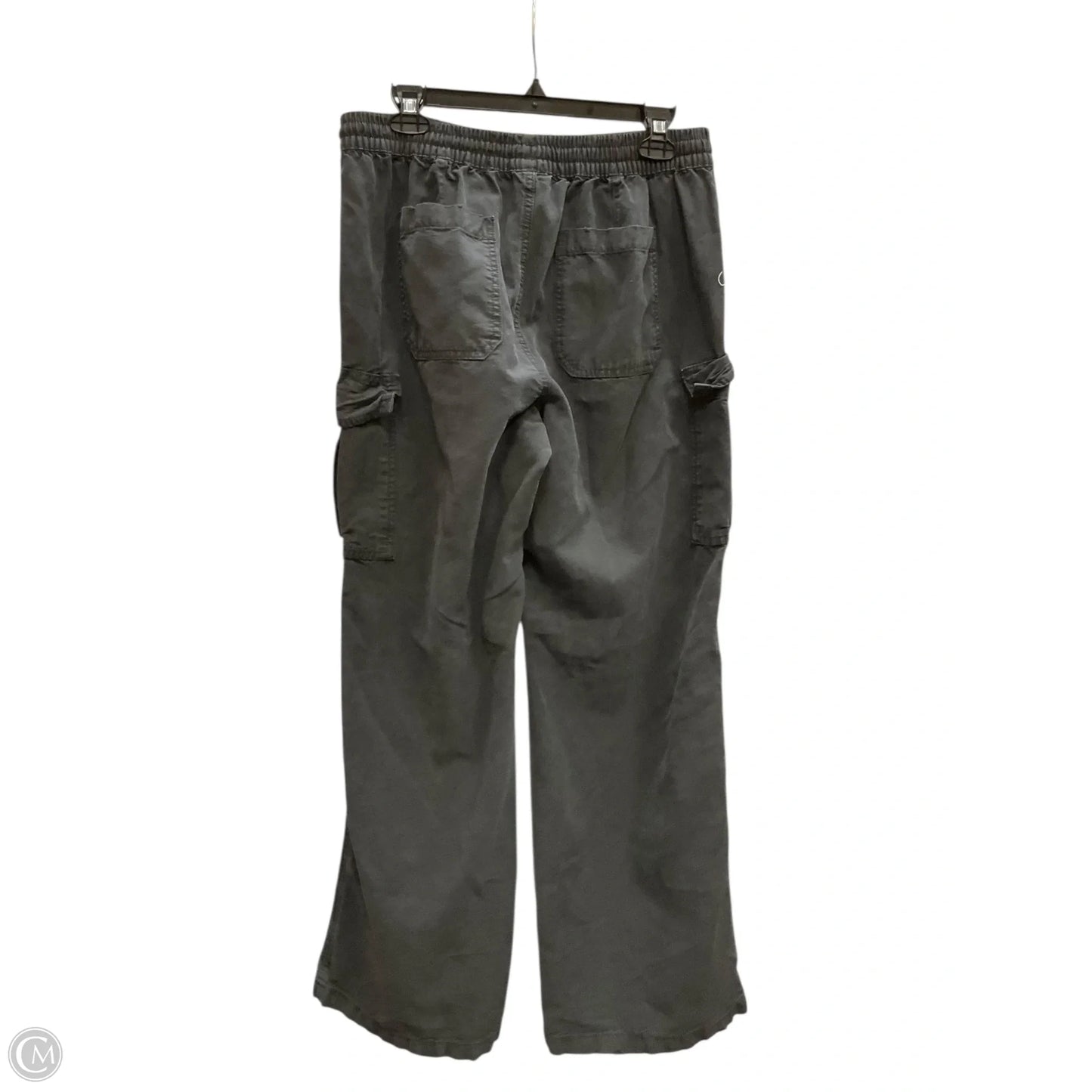 Pants Cargo & Utility By Aerie In Grey, Size: M