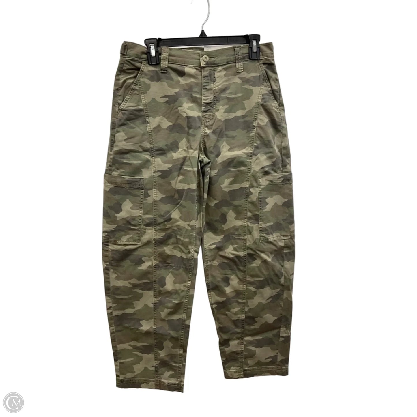 Pants Other By American Eagle In Camouflage Print, Size: 4