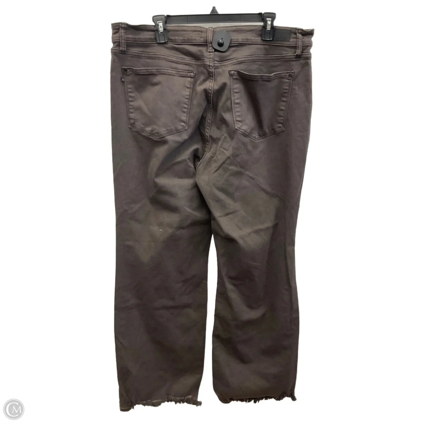 Pants Other By Judy Blue In Brown Denim, Size: 20