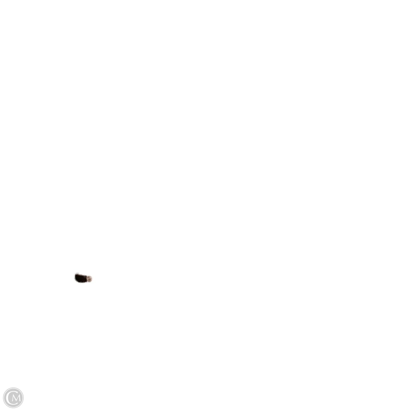 Crossbody Designer By Coach, Size: Small