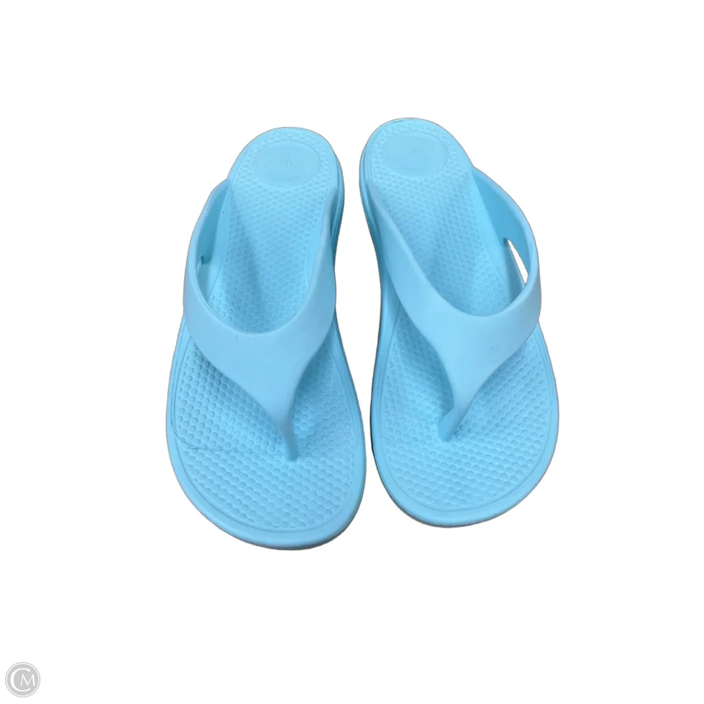 Sandals Flip Flops By Totes In Blue, Size: 10