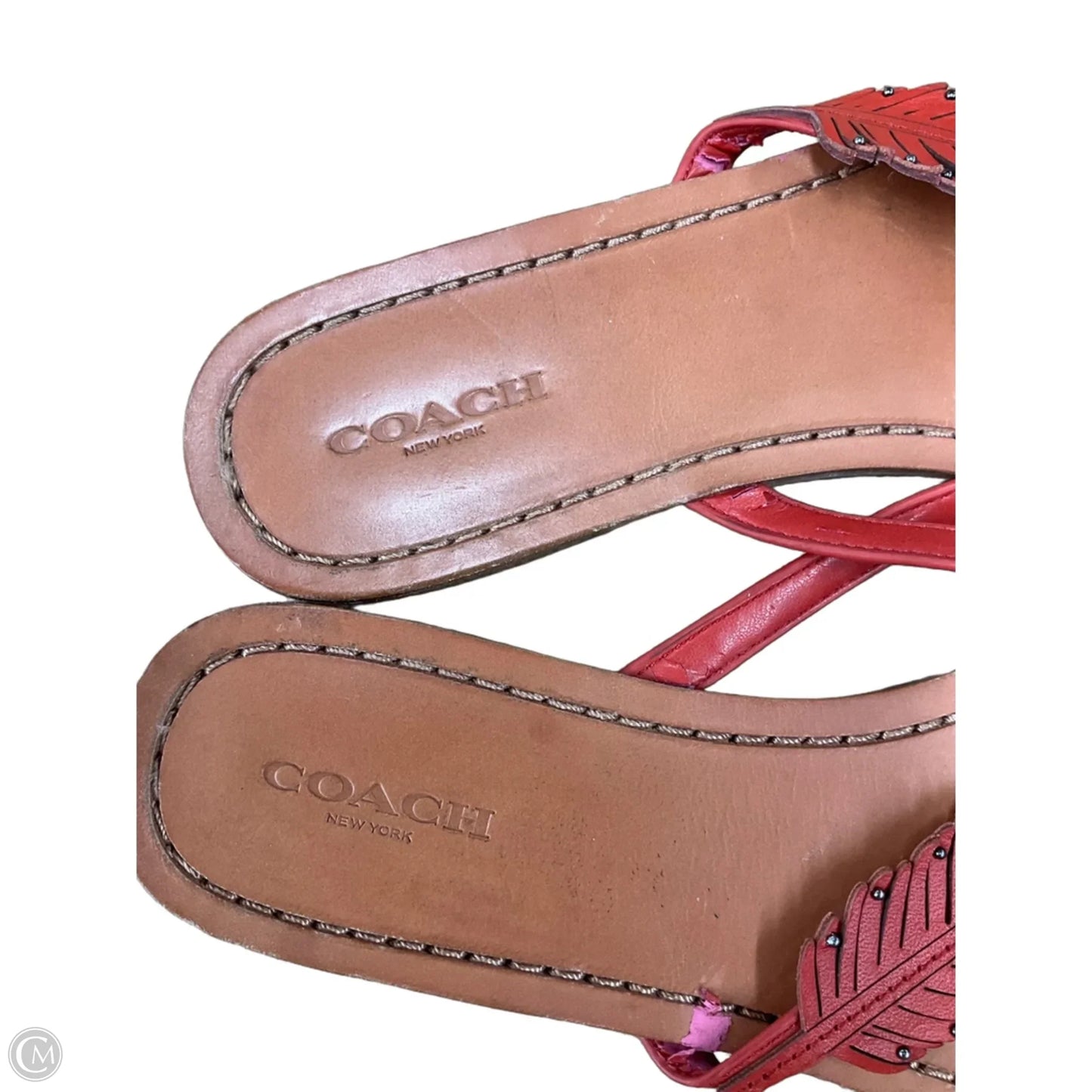 Sandals Designer By Coach In Brown & Red, Size: 9
