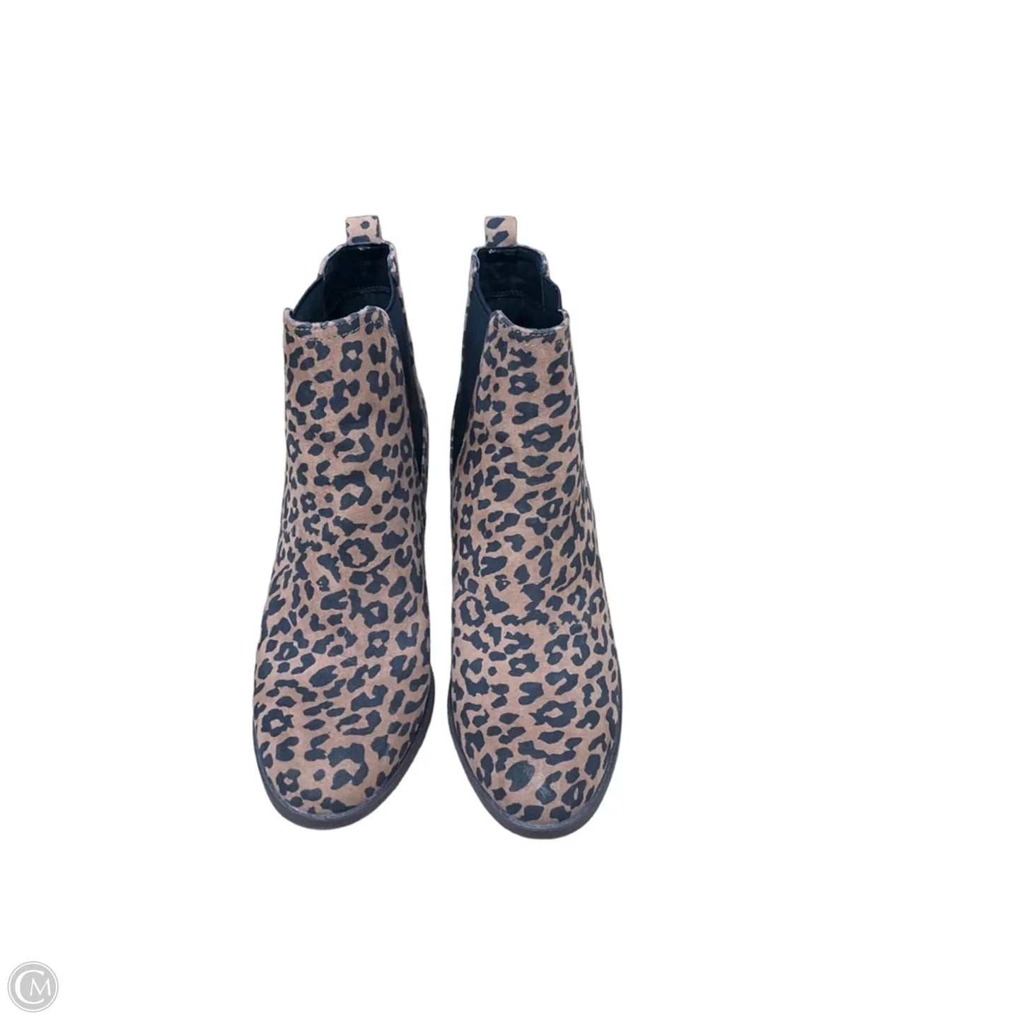 Boots Ankle Heels By Loft In Animal Print, Size: 8