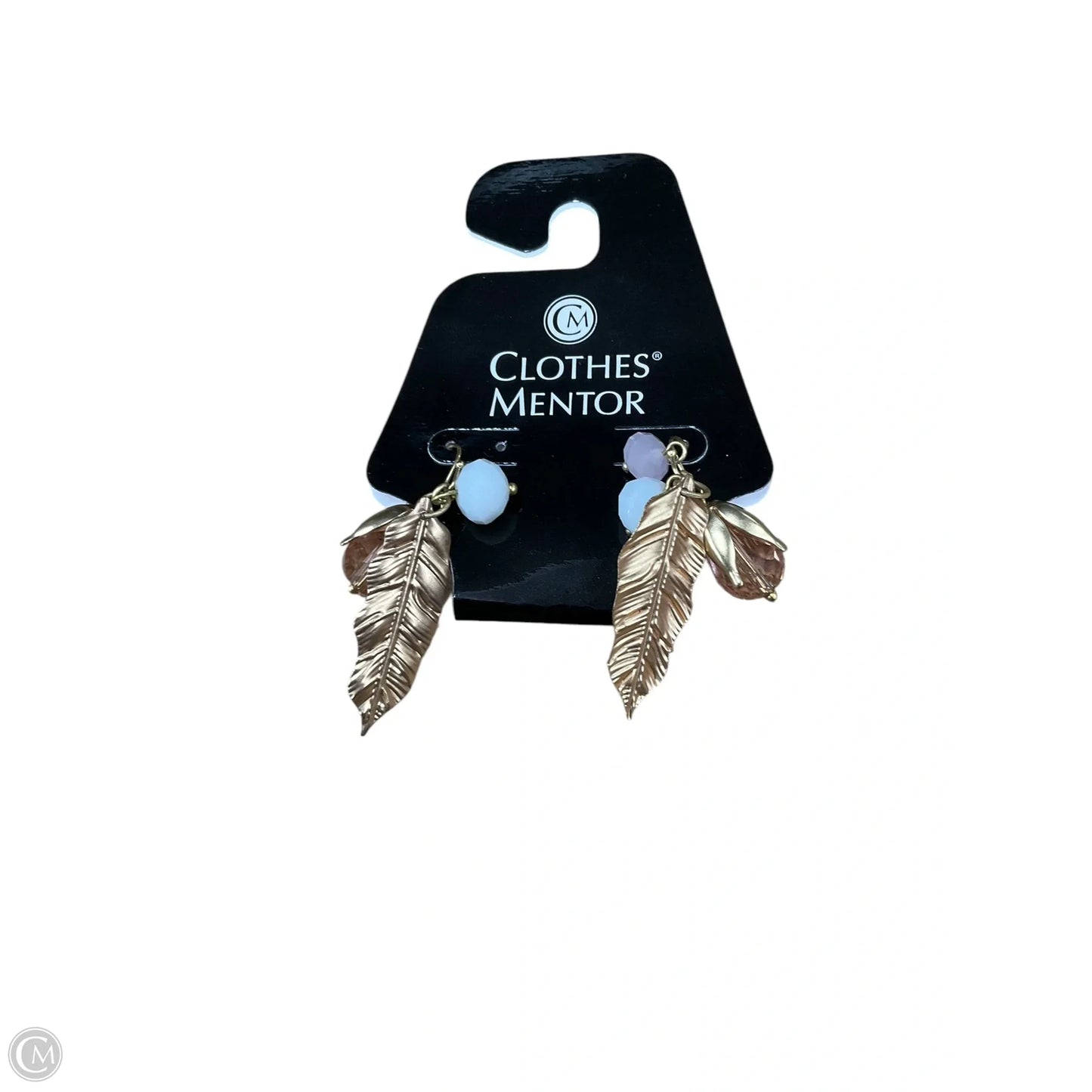 Earrings Dangle/drop By Clothes Mentor