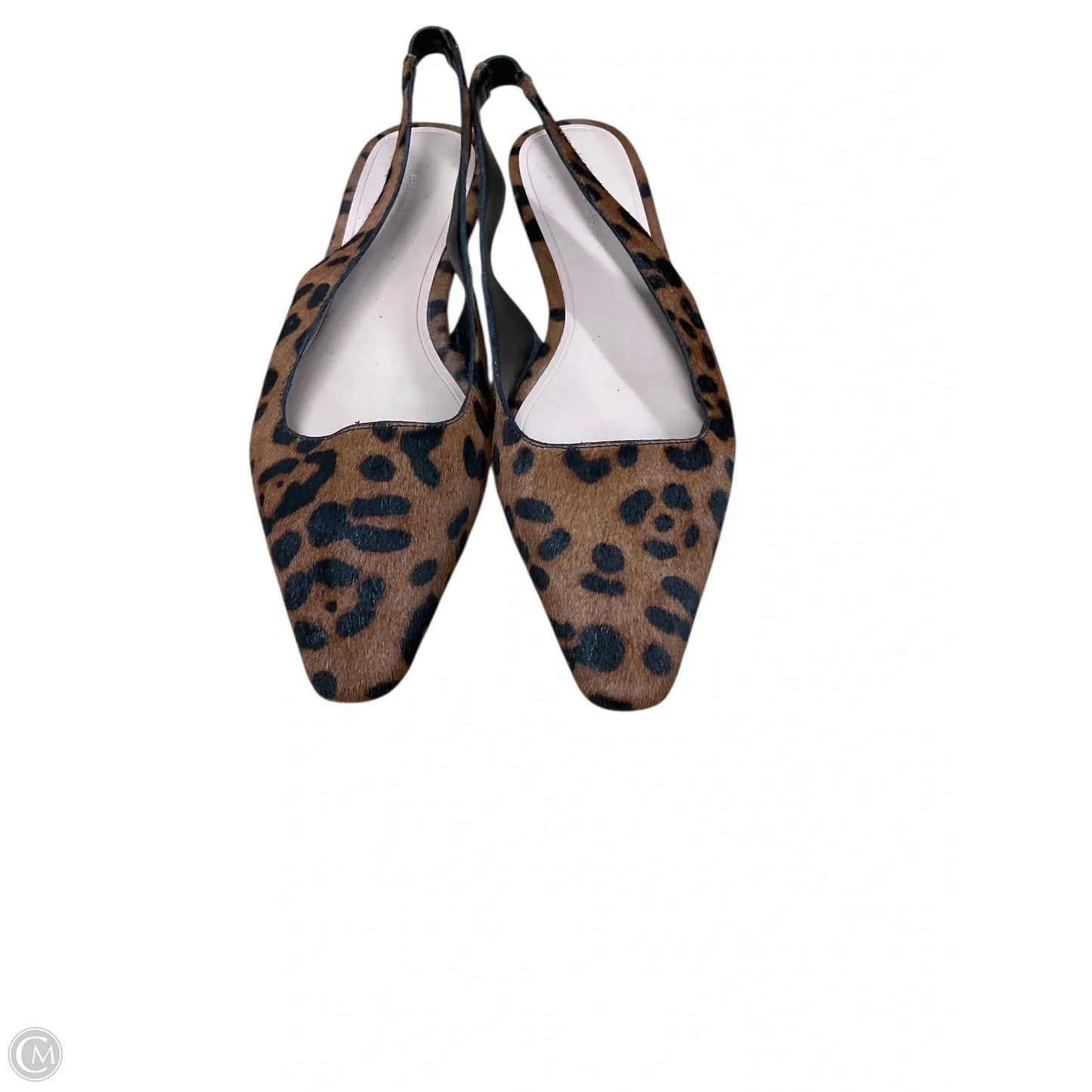 Shoes Flats By Banana Republic In Animal Print, Size: 9.5