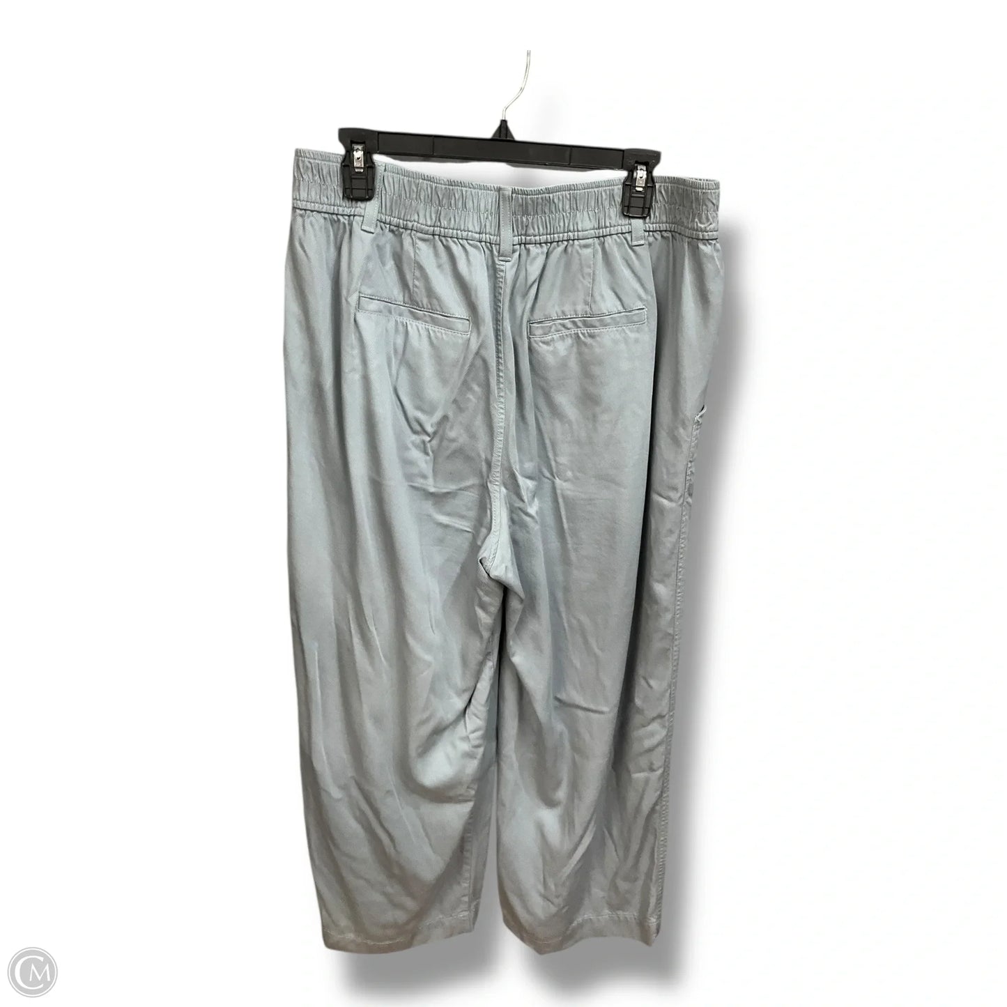 Pants Wide Leg By Madewell In Blue, Size: 14p