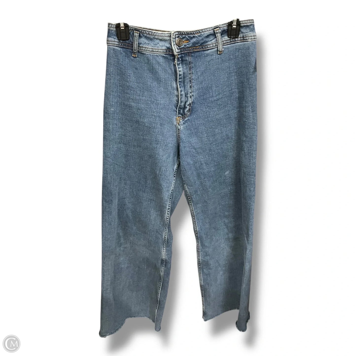 Jeans Wide Leg By Zara In Blue, Size: 6