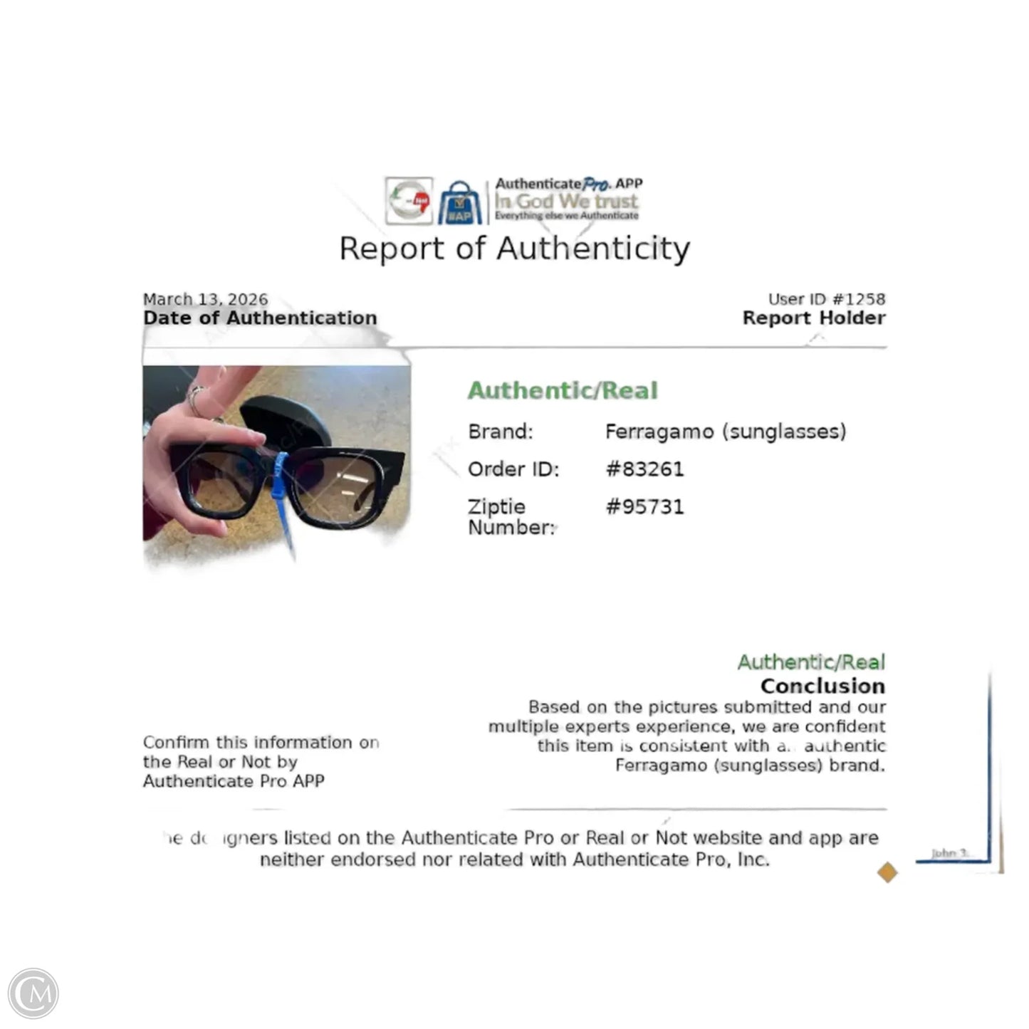 Sunglasses Luxury Designer By Ferragamo