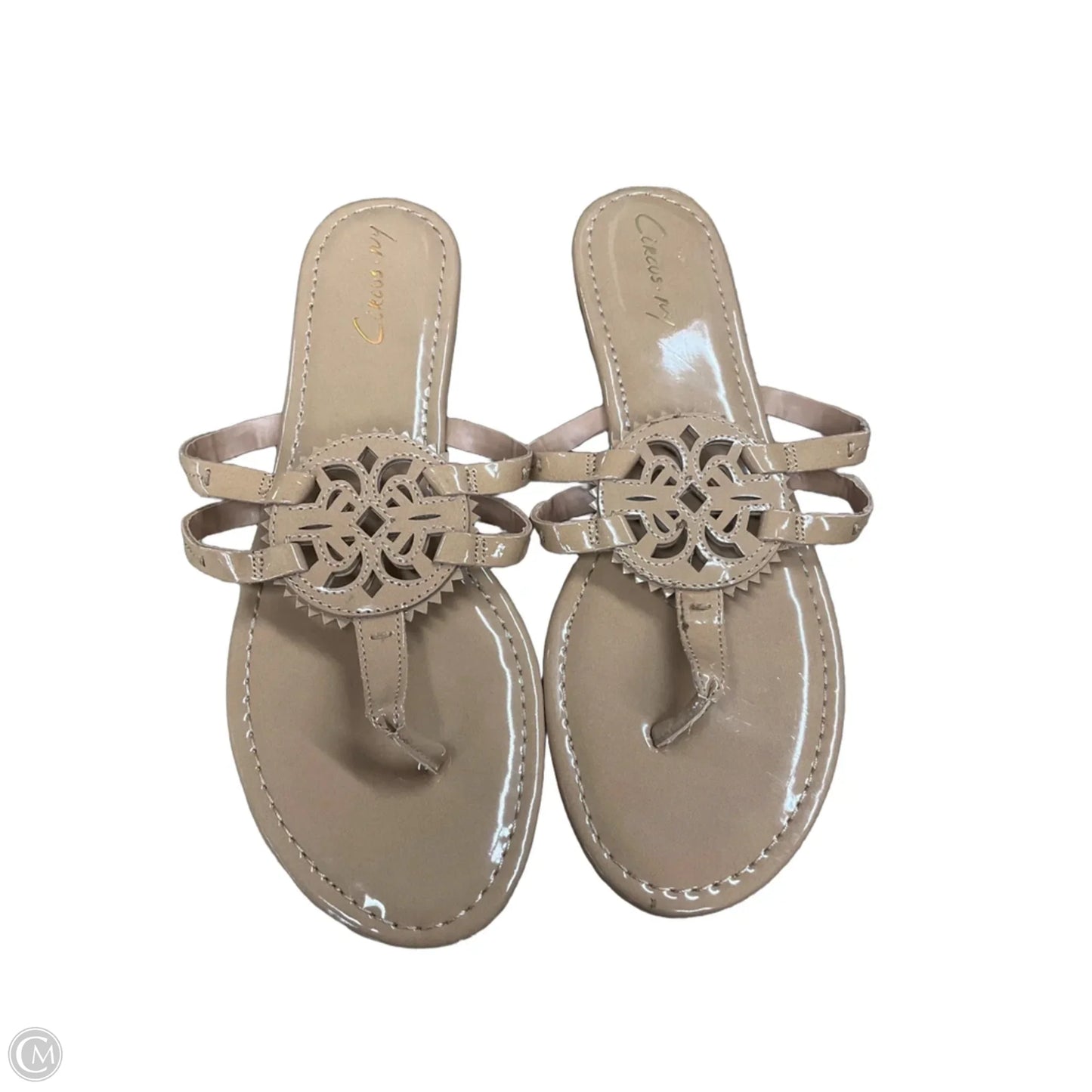 Sandals Flats By Circus By Sam Edelman In Tan, Size: 11