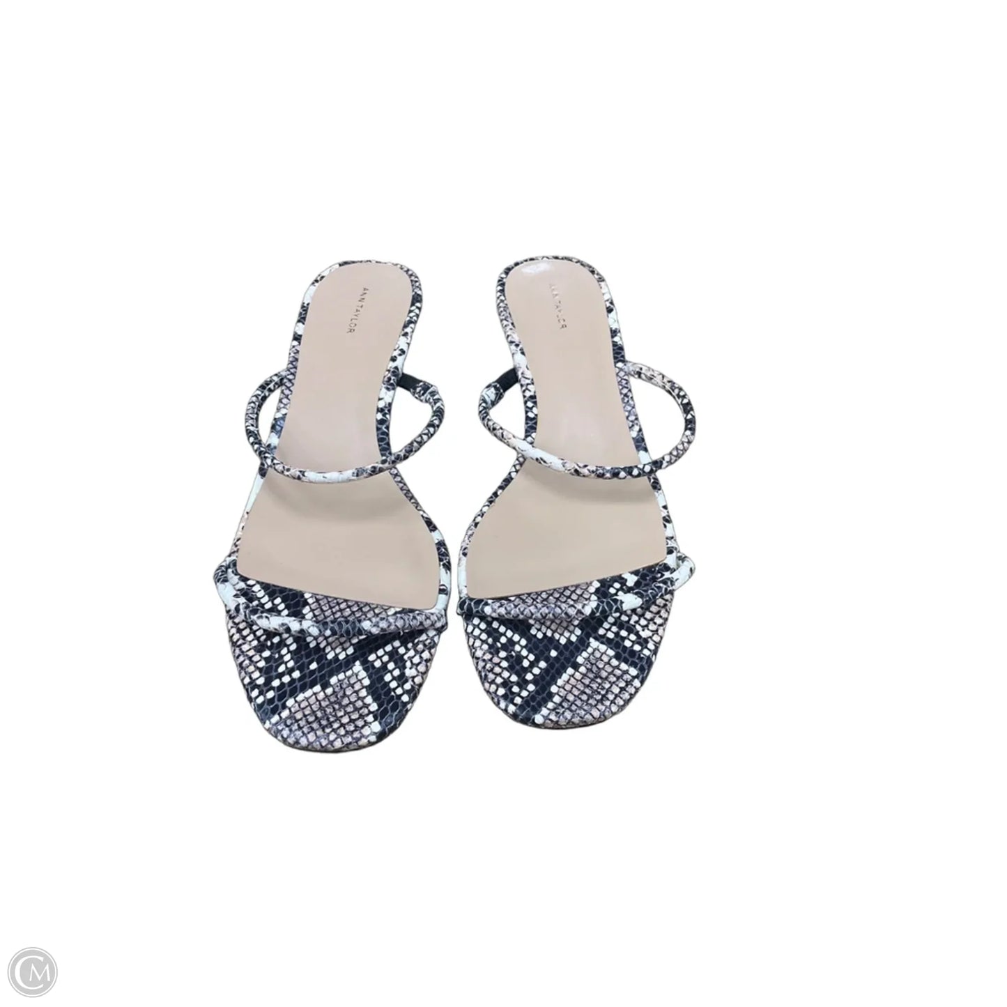 Shoes Heels Kitten By Ann Taylor In Snakeskin Print, Size: 10