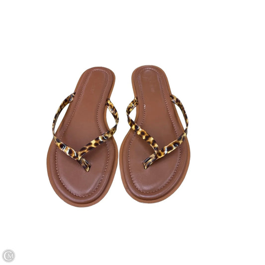 Sandals Flip Flops By J. Crew In Brown, Size: 9.5