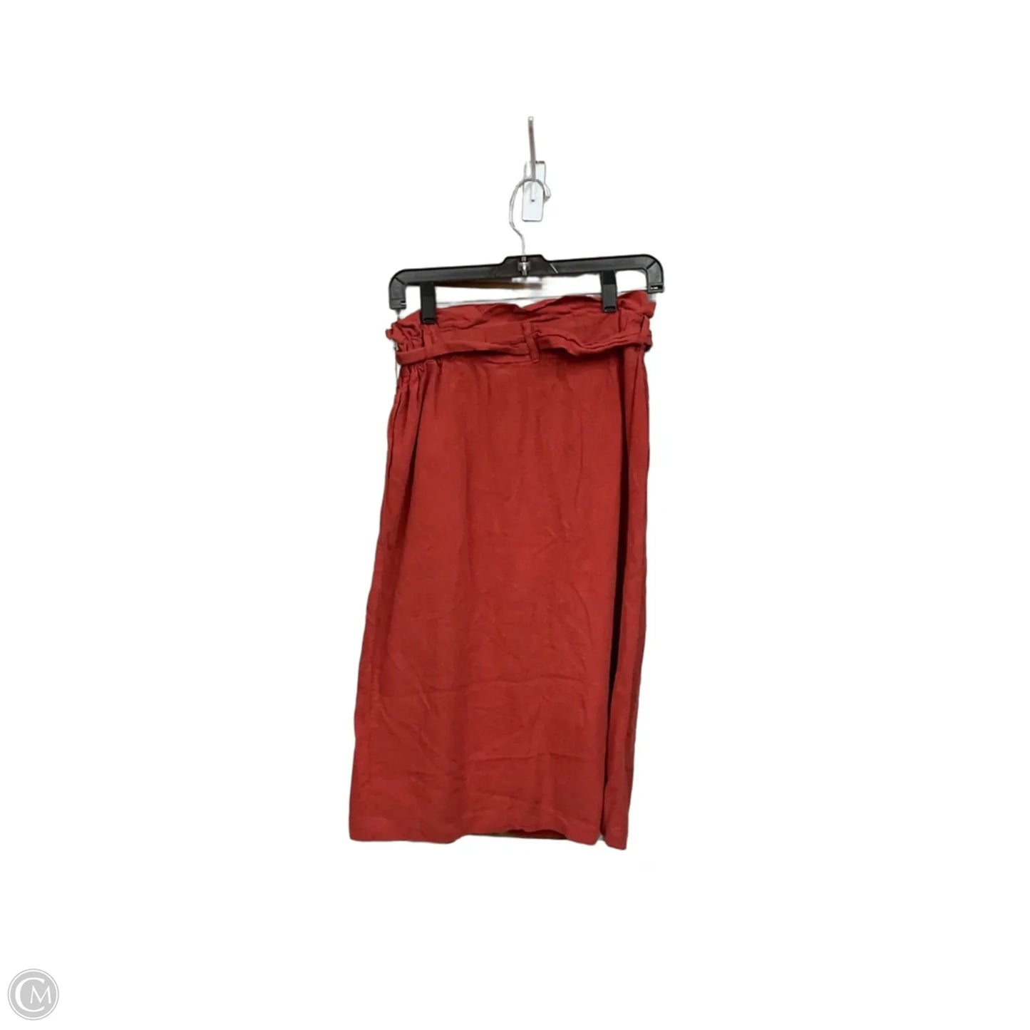 Skirt Maxi By Zara In Brown, Size: 4