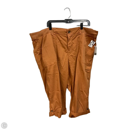 Capris By Evri In Brown, Size: 20