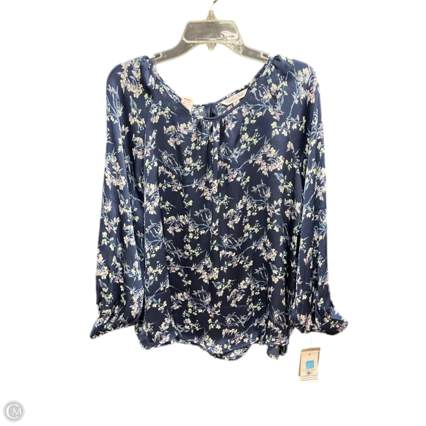 Top Long Sleeve By Ophelia Roe In Blue & Green, Size: 1x