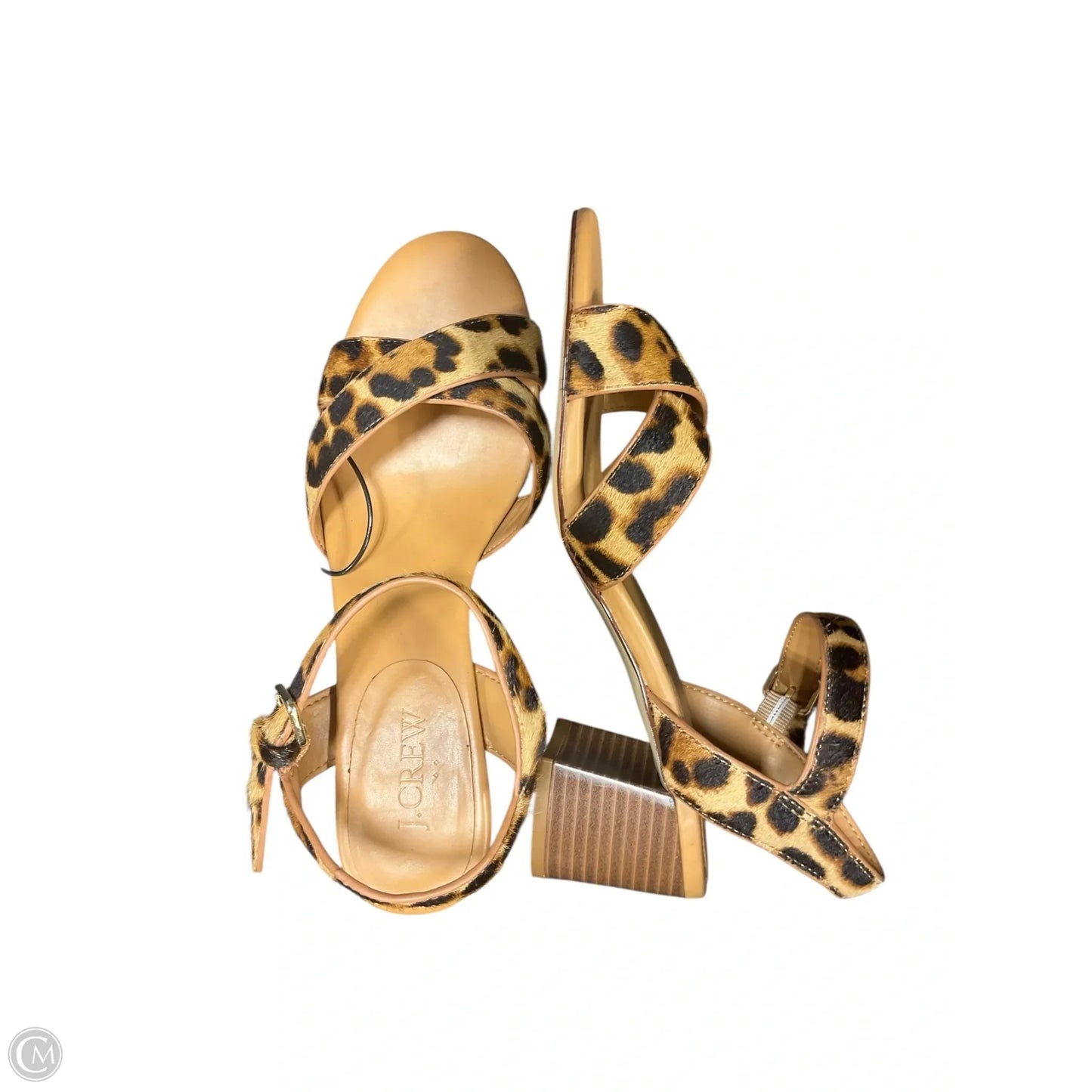 Shoes Heels Block By J. Crew In Animal Print, Size: 7.5