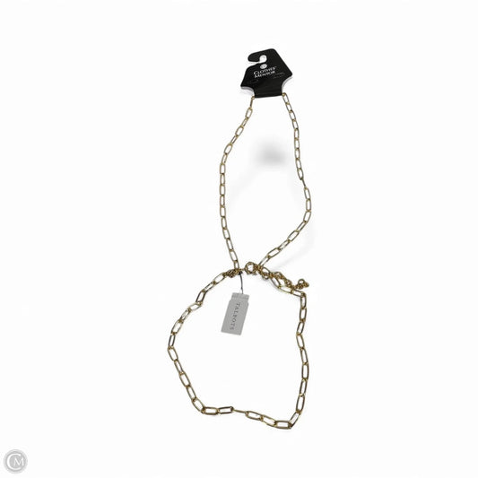 Necklace Chain By Talbots