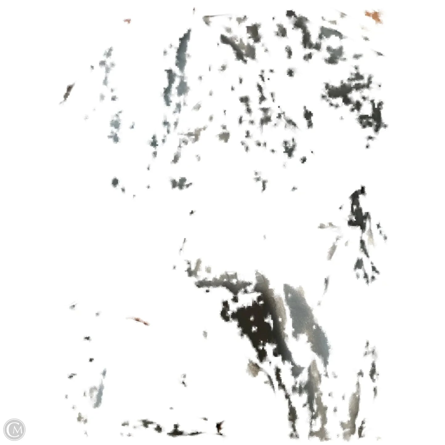 Backpack Leather By Cmc, Size: Large