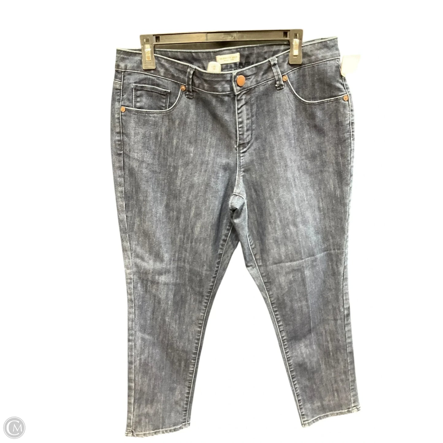 Jeans Skinny By Coldwater Creek In Blue Denim, Size: 14